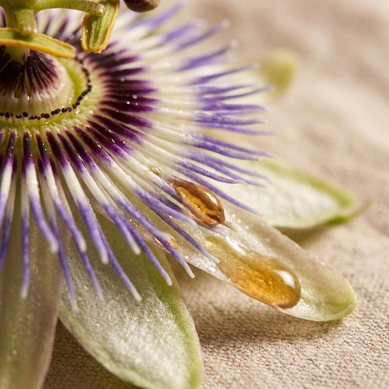 Passion Flower