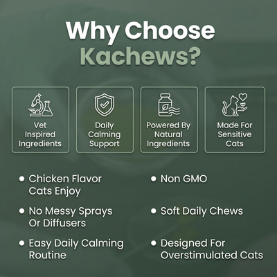 Kachews Calming Chews