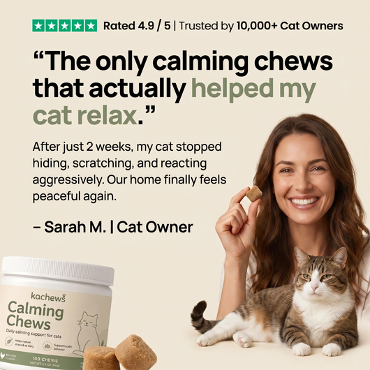 Kachews Calming Chews